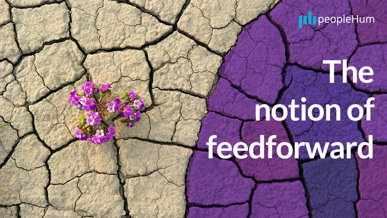 The notion of feedforward