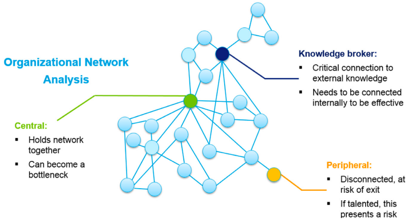 Organizational Network Analysis 